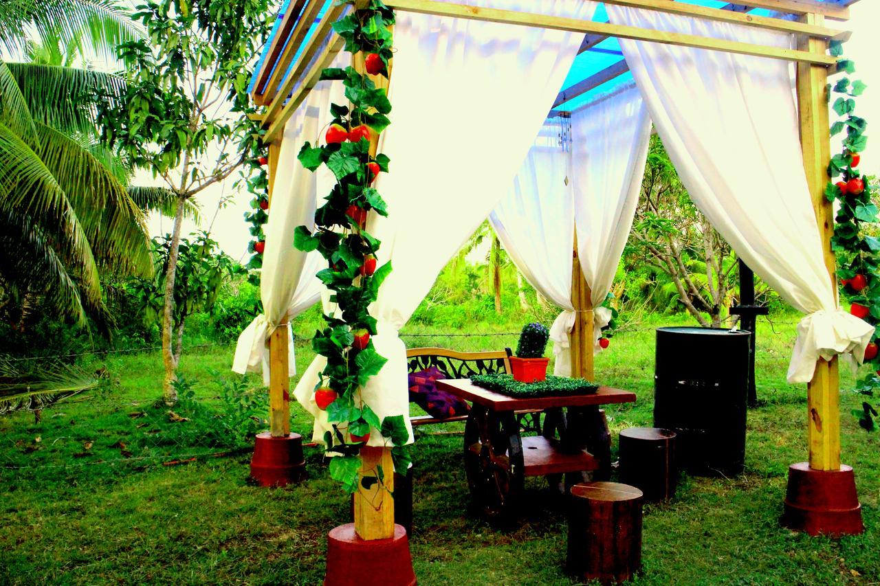 Sea Breeze Hostel - Alona Beach Panglao Exteriér fotografie
